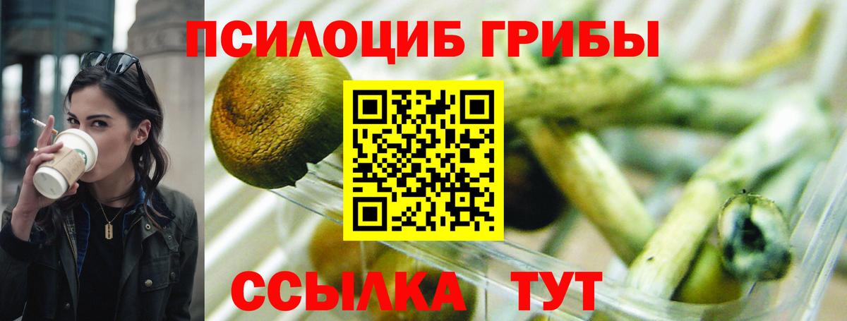 Галлюциногенные грибы мицелий  Вход с VPN  Арсеньев 