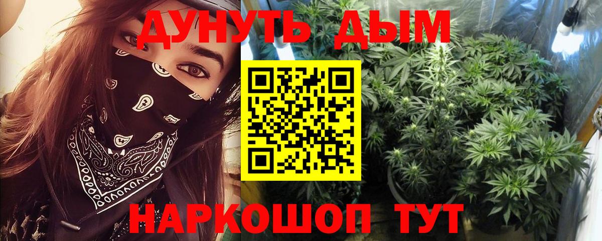 Марихуана сатива Арсеньев